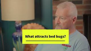 What Kills Bed Bugs Instantly? How long can bed bugs live without food?
