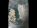 vibrating screen used for Freeze-dried chicken cube separating