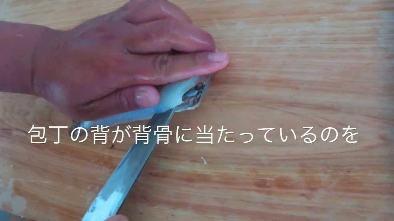 シロギスの腹開き 茅ヶ崎港 一俊丸 Youtube