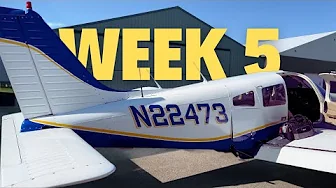 Flying 1hr/100 Subscribers Week 5