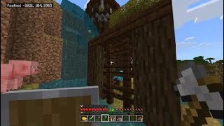 Village, Pillage, And Allays!!! Minecraft EP2