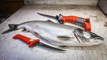 The ONLY Lake Trout Fillet Tutorial You
