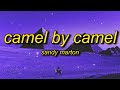 Sandy marton  camel by camel  zone tan ankha music animal crossing egyptian cat song