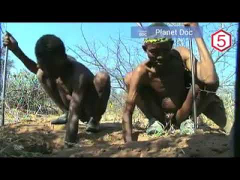 Video: Suku Clawfoot Afrika - Pandangan Alternatif