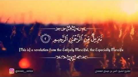 صاحب الصوت العذب - انس العمادي (حم تنزيل من الرحمن الرحيم)ايات من سورة فصلت The Quran Surat fusilat