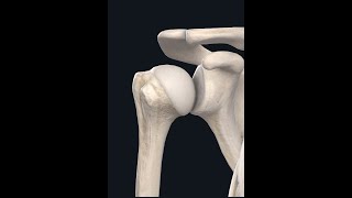 Classification of Joints