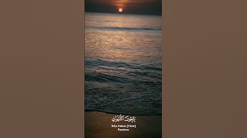 والله يريد أن يتوب عليكم ويريد الذين يتبعون الشهوات أن تميلوا  ميلا عظيما - قرآن كريم