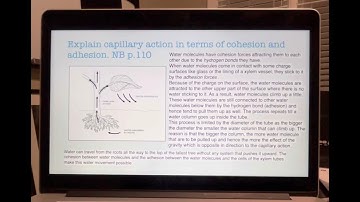Apologia Physical Science W9D3