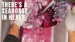 diy art video for beginners- Seahorse artwork- batik painting