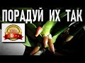 ПОРАДУЙ ОРХИДЕИ ТАК! СУПЕР-СРЕДСТВО ДЛЯ ОРХИДЕЙ! АЛОЭ ДЛЯ ОРХИДЕЙ!  РЕЗУЛЬТАТ-СЮРПРИЗ ГАРАНТИРОВАН 👍