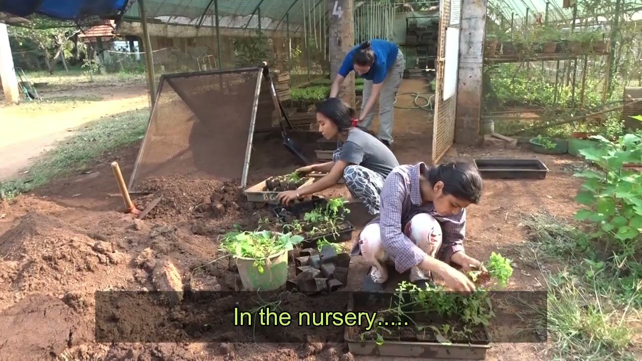 Last Weeks in Buddha Garden - Our Covid Experience