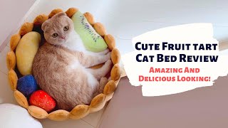 Fruit Tart Cat Bed Review - Most Instagrammable Cat Bed Ever! by Petites Paws 2,131 views 3 years ago 1 minute, 50 seconds