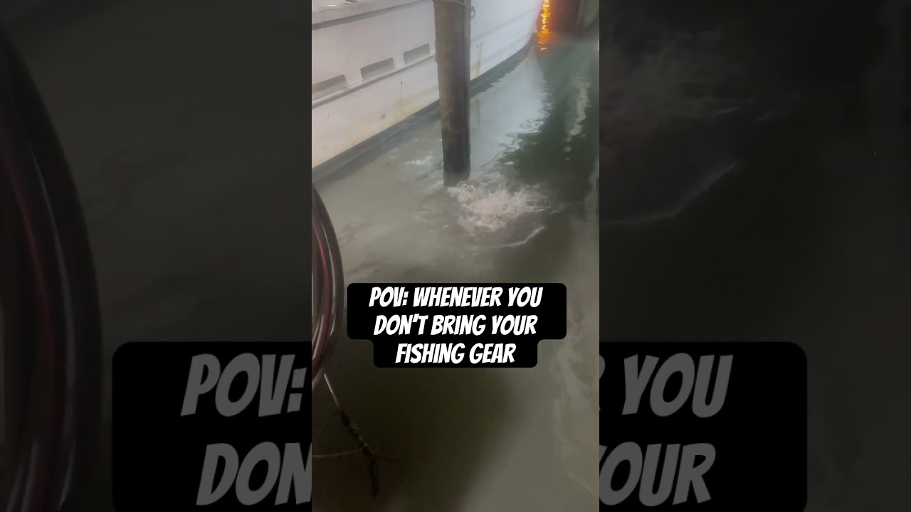 Whenever you don’t bring your fishing gear 