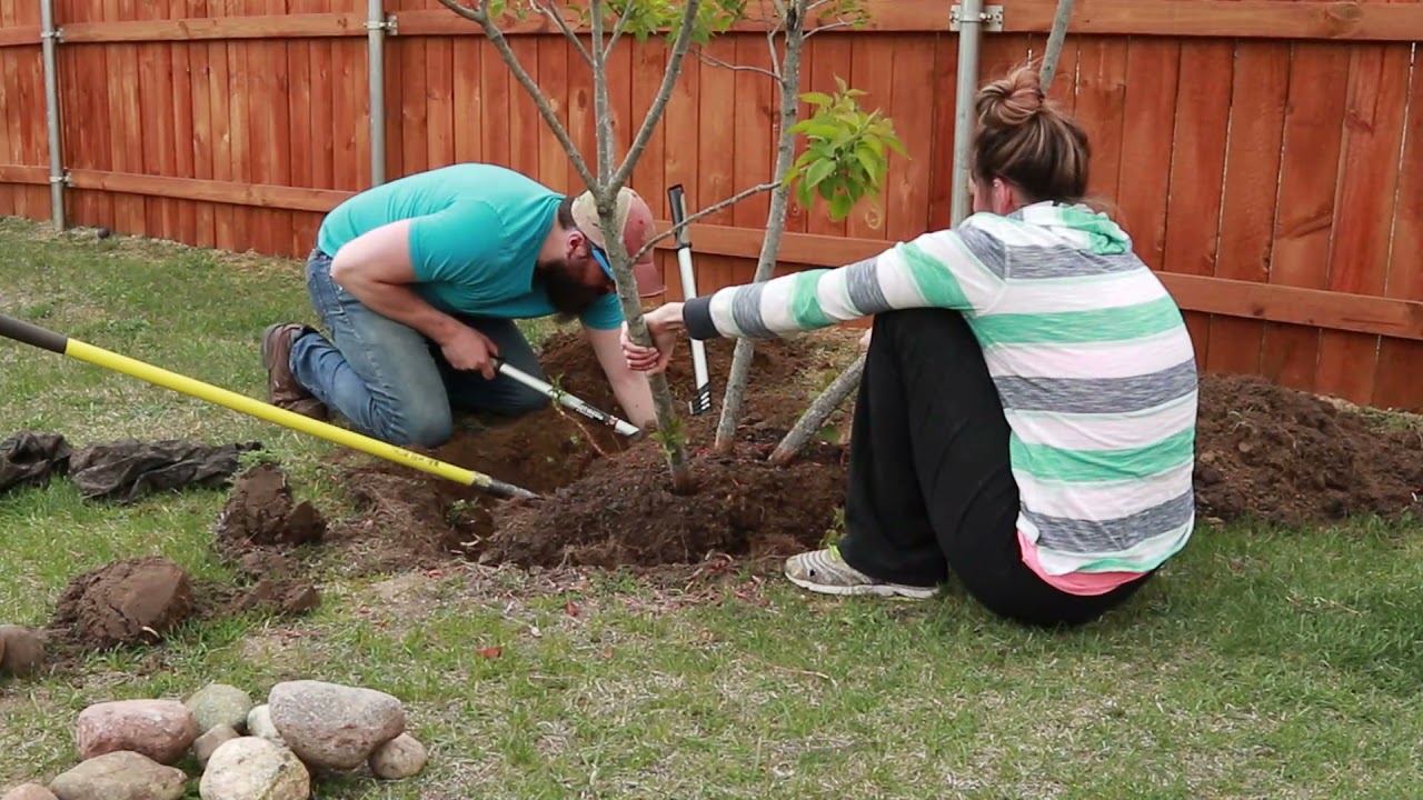 We Start a Backyard Renovation - MaxresDefault We Start a Backyard Renovation - MaxresDefault