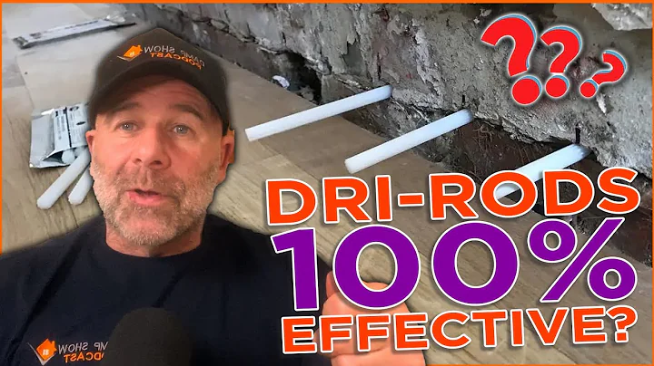 Are Dri-Rods 100% Effective?! - Damp Sam Reacts