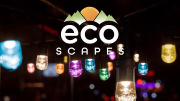 46918: EcoScapes Color-Changing Café Lights