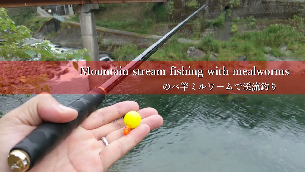 のべ竿ミルワームで清流攻めたら凄かった Youtube
