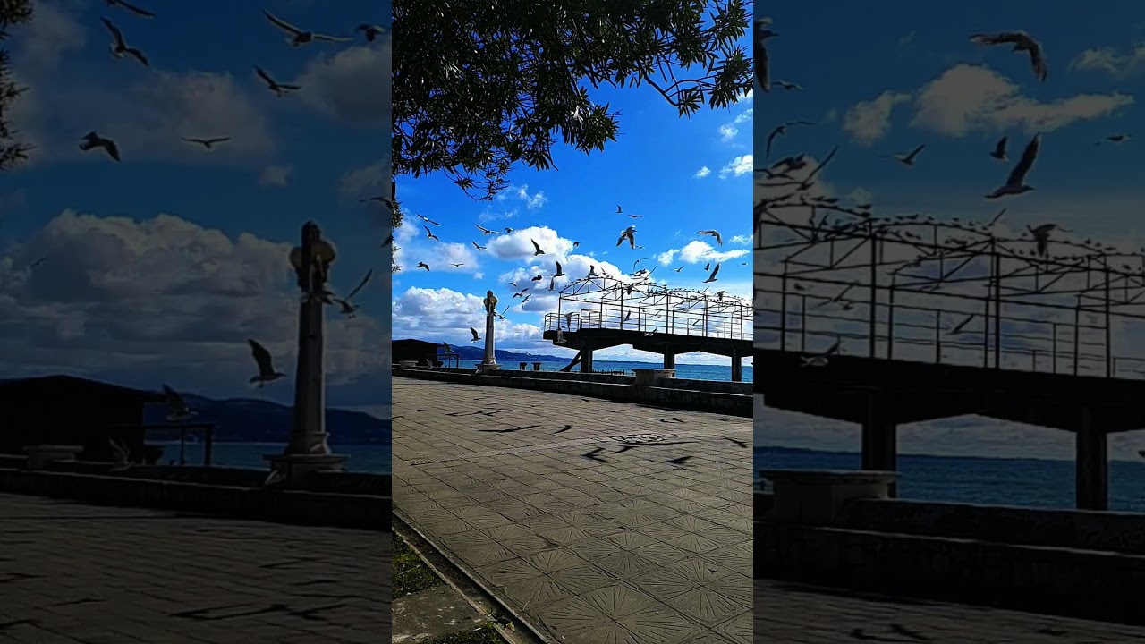 👍😎Набережная Сухума 22.02.2025