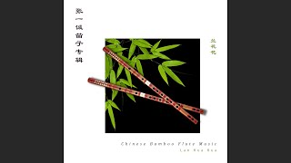 Chinese Flute Dizi Solo 
