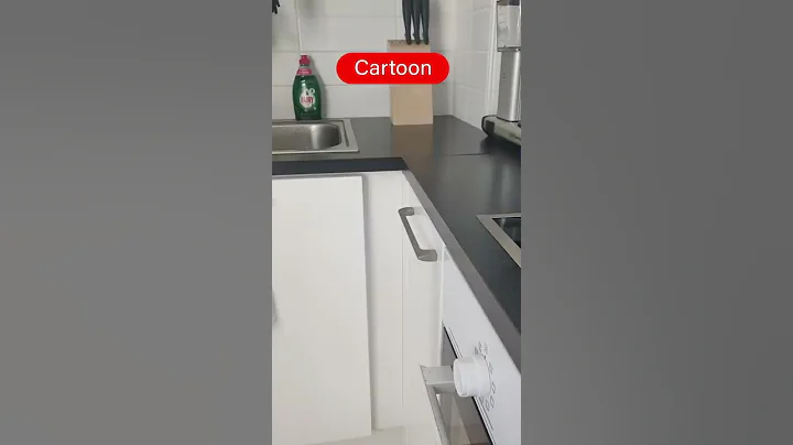 Cartoon VS Reality