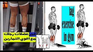 تمارين لتضخيم عضلات الرجل و استهداف جميع عضلات الرجل - (legs workouts)