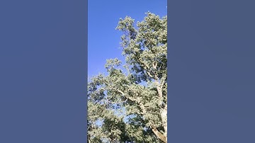 Are you buying bitcoin? #blockchain #sbr #finance #investing