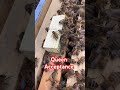 This is what Queen acceptance looks like!
