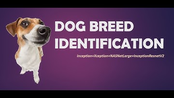 Dog Breed Classifier || Image Classification- Kaggle