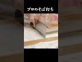 とても真似できない「究極のそば打ち」 #shorts