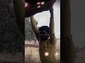 Aapana sapna pura karne par dheyan do🔥 #shorts #shortvid
