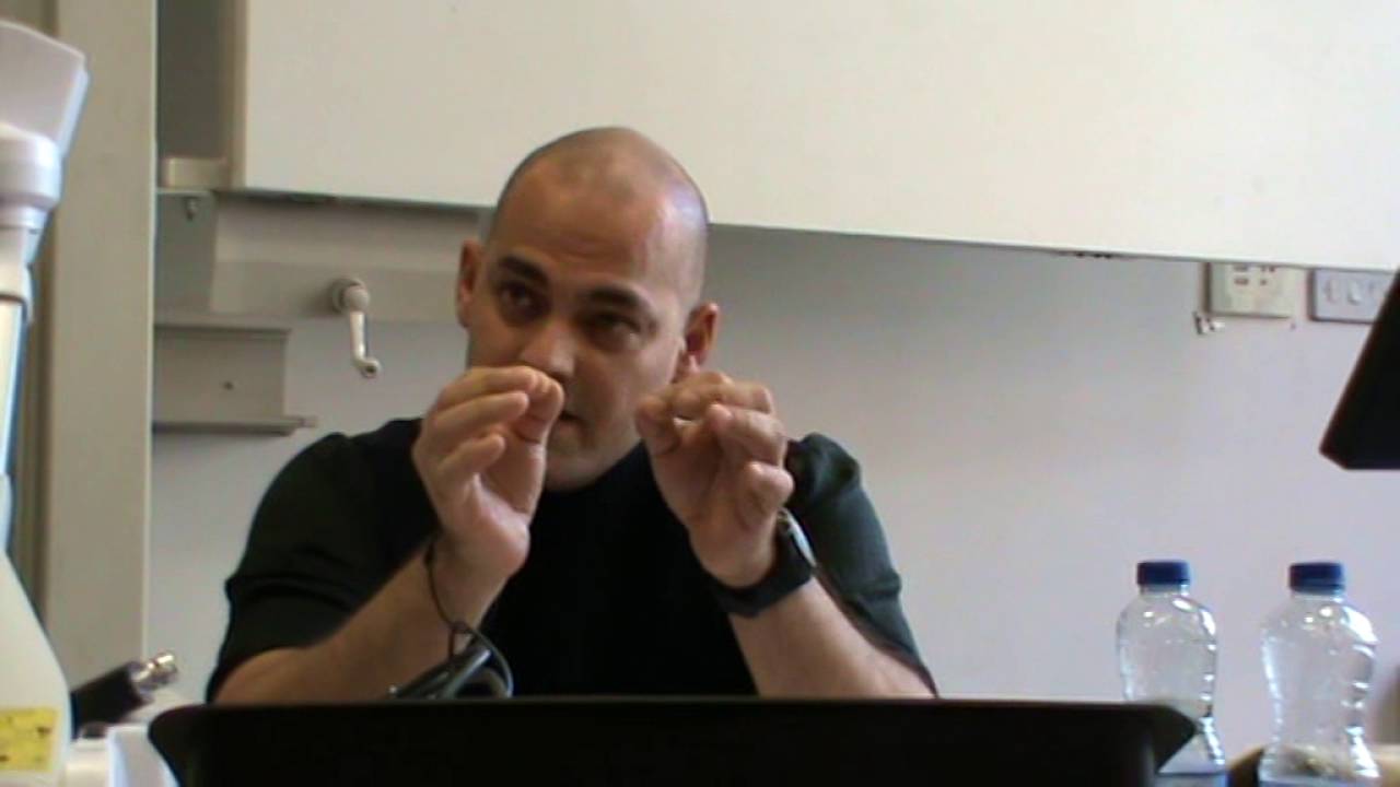 Adnan Madani on Muslim Subjectivity and Global Art