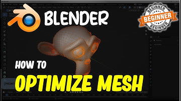 Blender How To Optimize Mesh