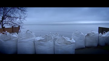 2050: Degrees of Change - life with A.I.