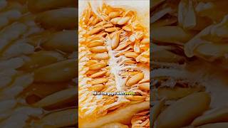 Seeds or Kitchen Scraps: The Truth About Growing Food #garden