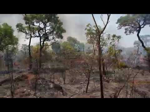 Fogo destrói dez hectares de vegetação em Sete Lagoas