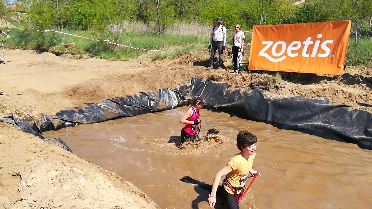 Hard Dog Race Base 2018