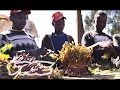 Khat Power The Latest War On Drugs Khat Power The Latest War On Drugs