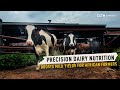 Precision nutrition is revolutionizing dairy farming in Africa