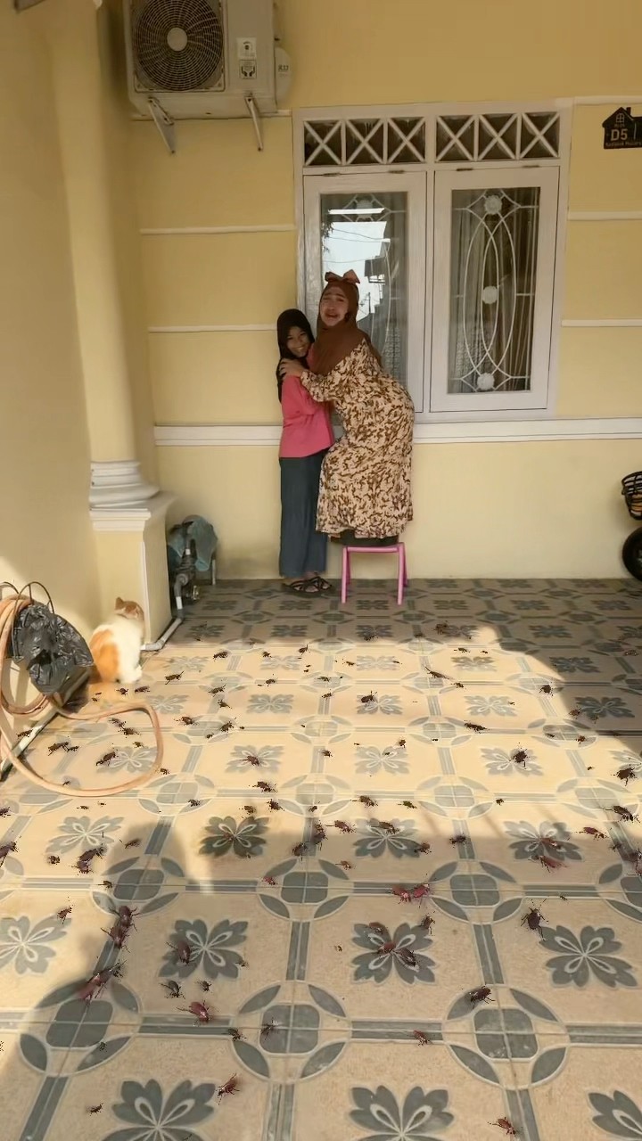 BANYAK BANGET KECOA DIRUMAH BUNDA DIJAH ?