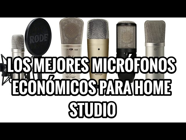 Los más vendidos: Mejor Micrófono Condensador Multipropósito