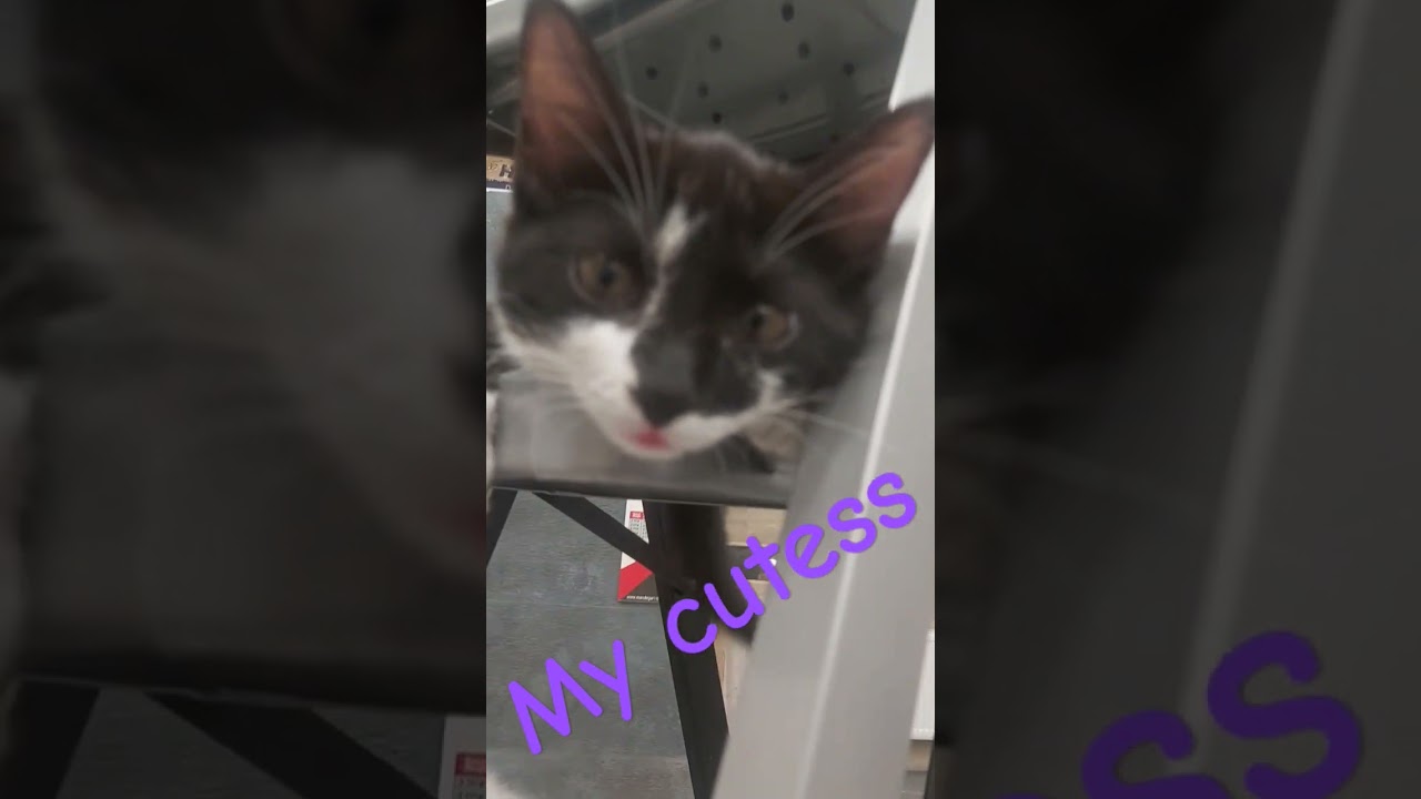 my cutessss   i love dem 