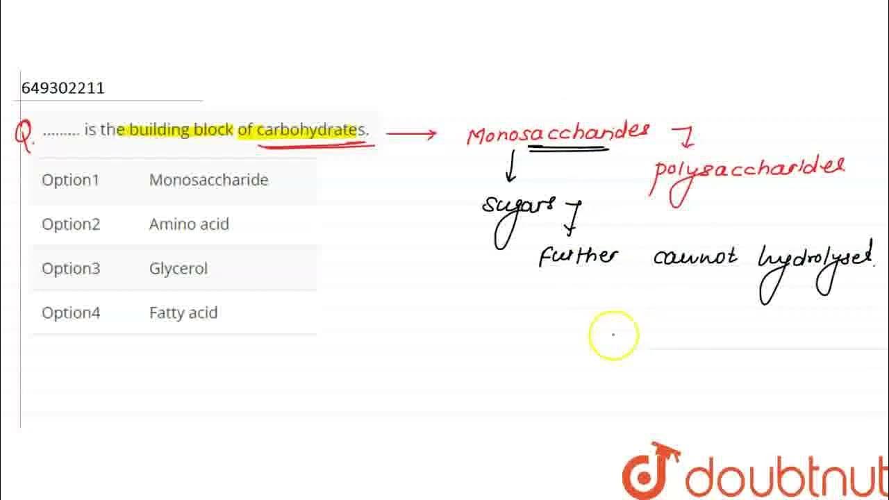 is the building block of carbohydrates. CLASS 12 BIOTECHNOLOGY