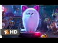 The Secret Life of Pets 2 - Dog vs. Cats Scene (5/10) | Movieclips