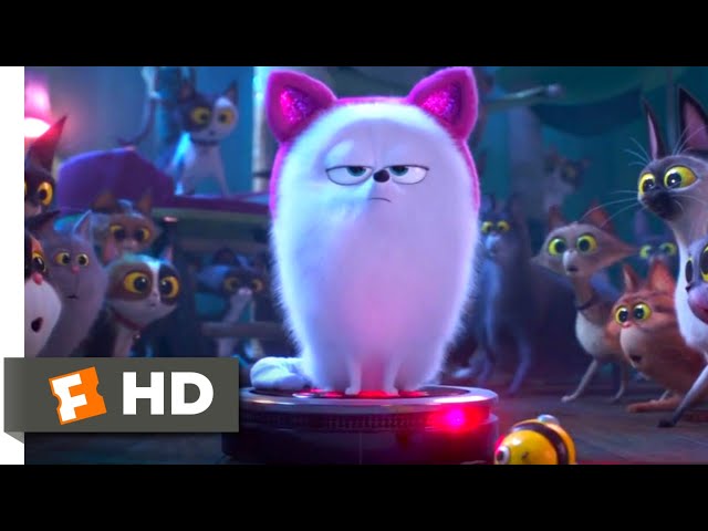 The Secret Life of Pets 2 - Dog vs. Cats Scene