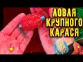 КРУПНЫЙ КАРАСЬ на УБИЙЦУ КАРАСЯ и ФЛЭТ ФИДЕР