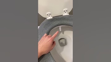Thumbnail of How to use a bidet #shorts