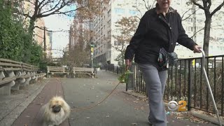 Seniors Battling City Hall, Cyclists Over Park Plan