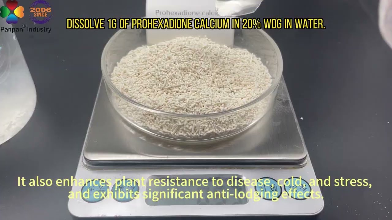 Dissolve 1g of prohexadione calcium in 20% WDG in water