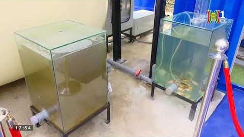 Tập đoàn Sơn Hà phối hợp với huyện Đông Anh tổ chức Lễ vận hành dự án thí điểm xử lý nước thải