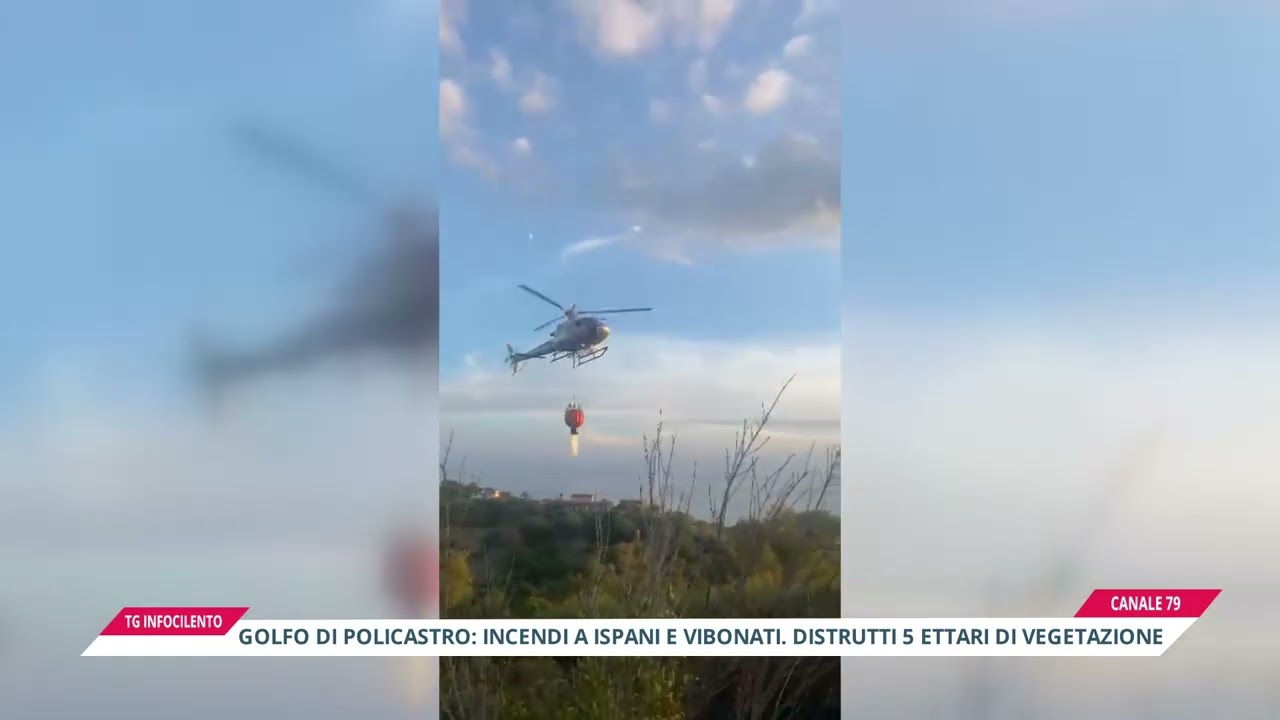Golfo di Policastro: incendi a Ispani e Vibonati. distrutti 5 ettari di vegetazione